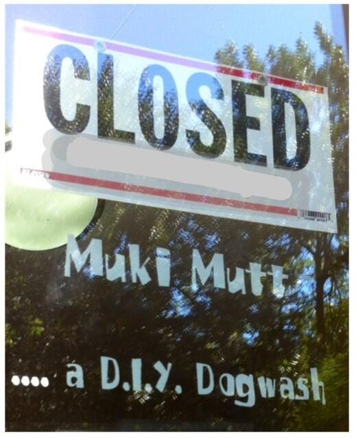 MukiMutt's tweet photo. Muki Mutt CLOSING for good this Sundsy Sept. 29 please see post on FB for details. See you at the park. http://t.co/8bmCTgQPKW