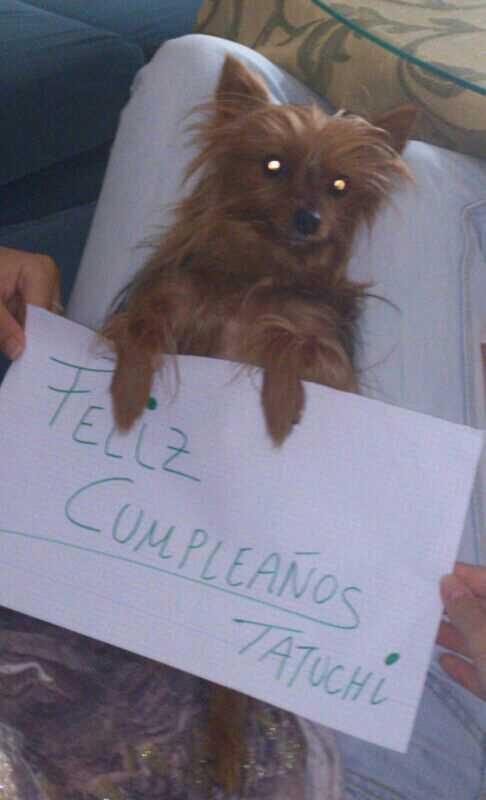 belen_ferrera's tweet photo. La tina te desea feliz cumpleaños tatuchi @mariaifr @cristina_fe_ro http://t.co/nGRpaNgJpu