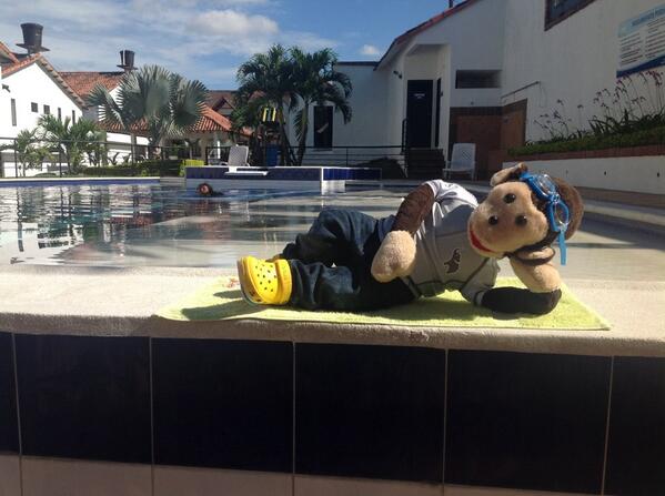 elshowdetato (@elshowdetato) on Twitter photo 