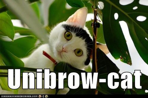 PlanParadox's tweet image. @kels_kelsey1