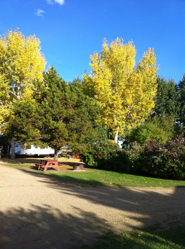 Goertie's tweet photo. At Wetaskiwin lion's RV park. Beautiful fall evening! http://t.co/QRie0KxA4B