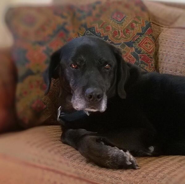 Nokia Lumia1020 takes nice pix.