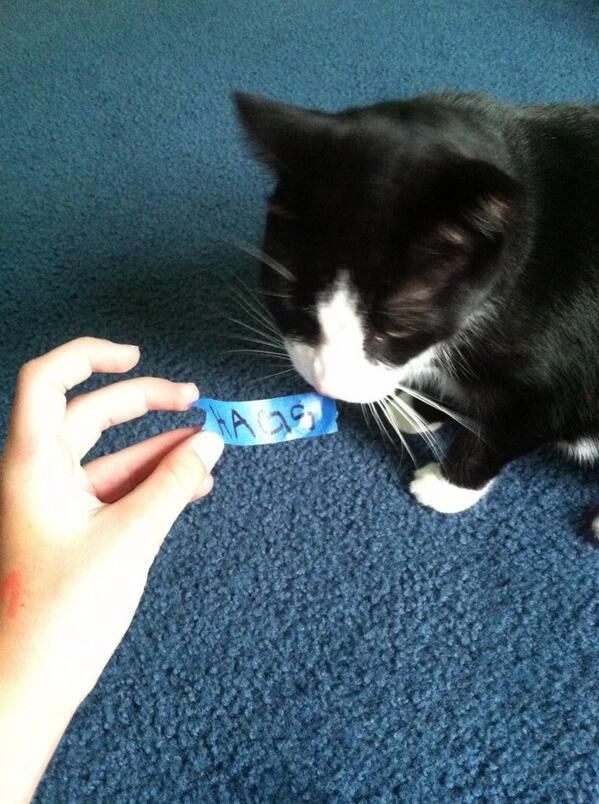 HAGS from Nina😂🐱 <a href="/avas44/">atoma</a>
