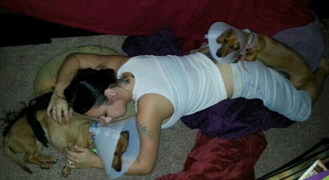I got very little sleep n they have cones of shame but the pupperdups are home safe. http://t.co/8qA
