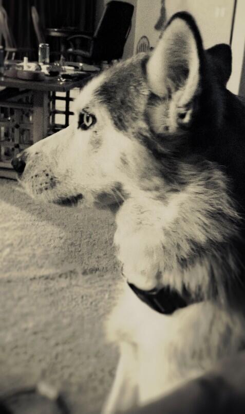 DailyChloe's tweet photo. http://t.co/viPmDIdRYx