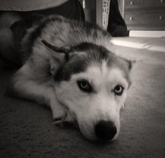 DailyChloe's tweet photo. Sometimes you just have to be a sad http://t.co/MWEaM3ZNOo