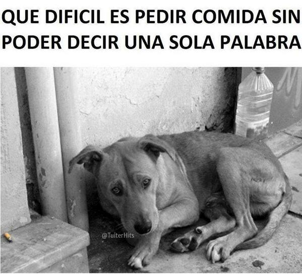 TuiterHits's tweet photo. Y que difícil es verlos y saber que no puedes hacer lo que quisieras por todos los que pasan por esta situación. http://t.co/eWUKxQcZHZ
