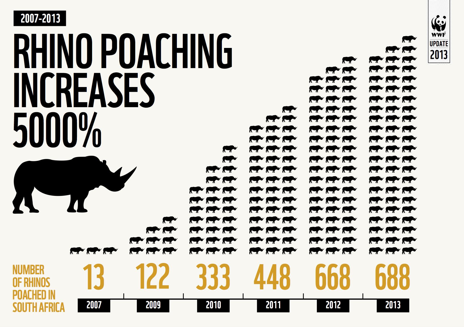 Rhino Poaching Graph