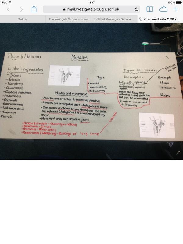 Miss_ONeill_PE's tweet image. GCSE PE lesson recapping muscles! #deskwriting #studentsengaged