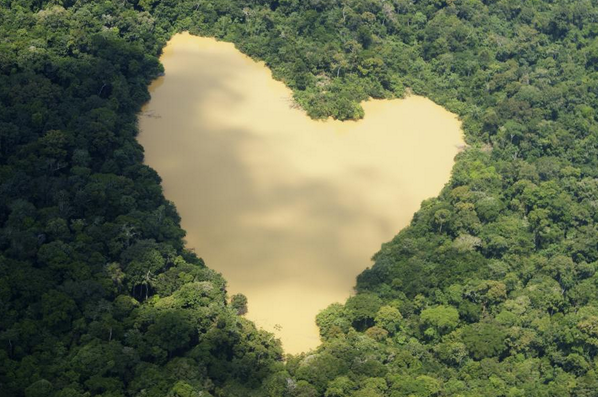 LesBellesPhotos's tweet photo. Lac naturel à Manaus, Brésil. http://t.co/fuvFbHCQlN