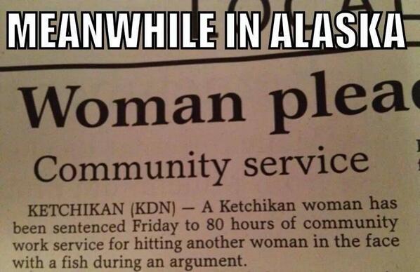 "<a href="/AwkwardComedy/">Free Spurgeon</a>: Meanwhile in Alaska! " <a href="/Marine_sadie/">Mariné Sadie</a>