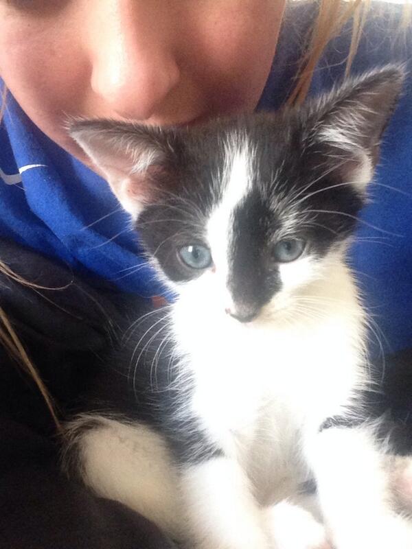 amybill's tweet image. @lottieshep so ere she is #lotlot