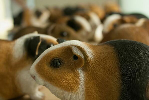 Invasion of #cavas #chattr <a href="/TodaysArt/">TodaysArt</a>