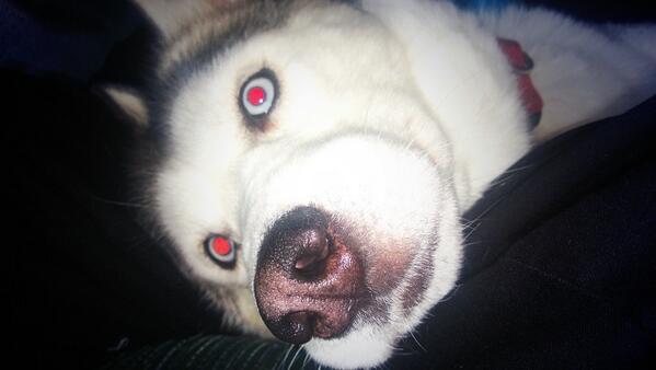 DailyChloe's tweet photo. Idk how to caption this http://t.co/etGKzyNxyJ