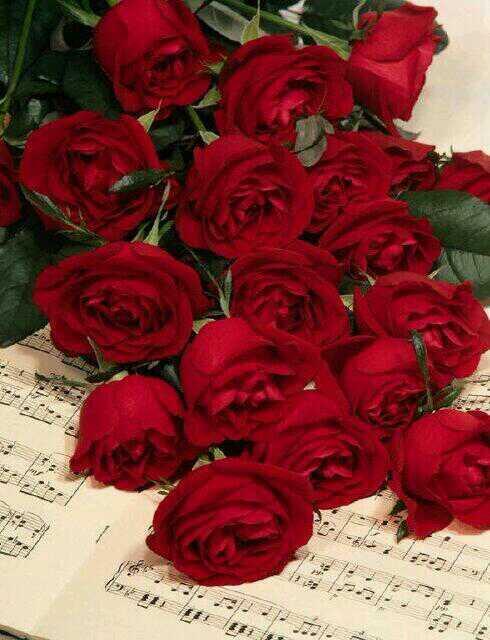 alkore01's tweet photo. http://t.co/oT0JXvYn2O