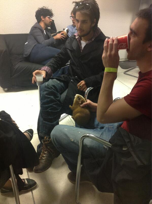joelporter tweet picture