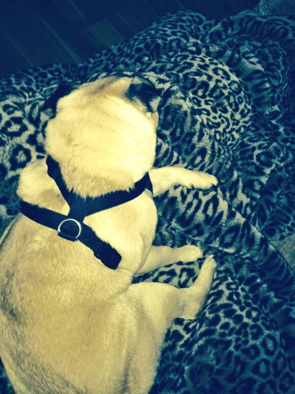 I love nights in with this boy