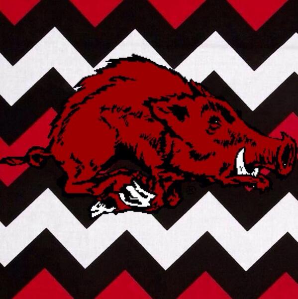 Dmorg07's tweet photo. NOW LET'S CALL THOSE HOGS!! #WPS  #GoHogs #NeverYield #RunBuddaRun http://t.co/8fC9cBCwGt