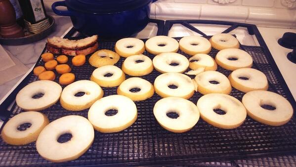 RossAndrewWine's tweet image. I couldn&apos;t find a compelling reason to tell her &apos;No&apos;. @USApears #dehydrating #funexperiment #3.5yrold