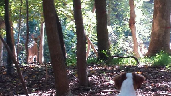 WafflesFritz's tweet image. Go ahead, make my day...