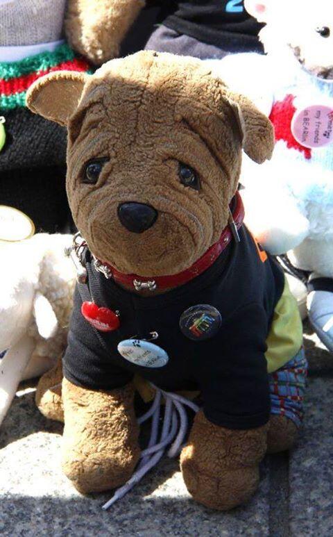 Lost Teddy Bear (@lostteddybear) on Twitter photo .<a href="/NewOrleans/">New orleans</a> Could you please RT Toy Dog LOST in the French Market, New Orleans, today! We must find him! .<a href="/NewOrleans/">New orleans</a> Could you please RT Toy Dog LOST in the French Market, New Orleans, today! We must find him!
