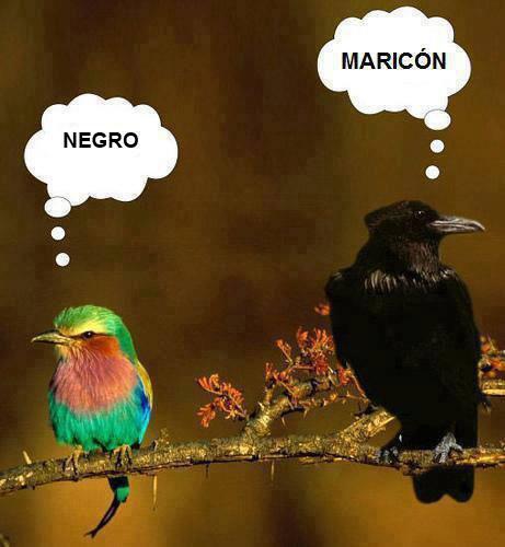 Las cosas como son - quepapelazo.com/las-cosas-como…
