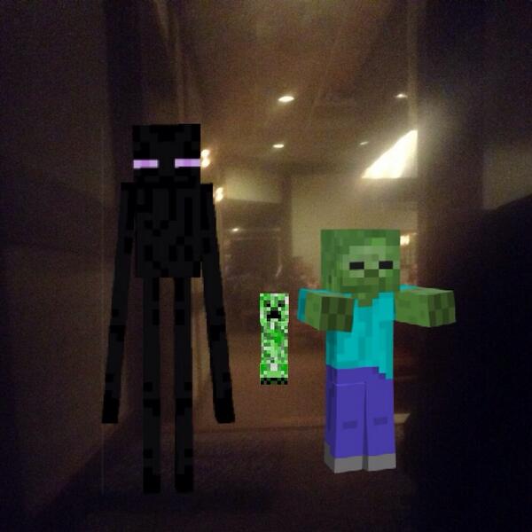 minecraft8686's tweet image. Party crashers