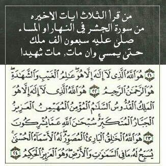2011_odi tweet picture