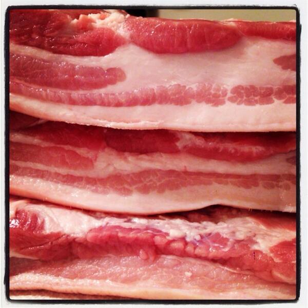 thispig's tweet photo. Fresh Belly. #thislittlepig http://t.co/1WW2qnf8fC