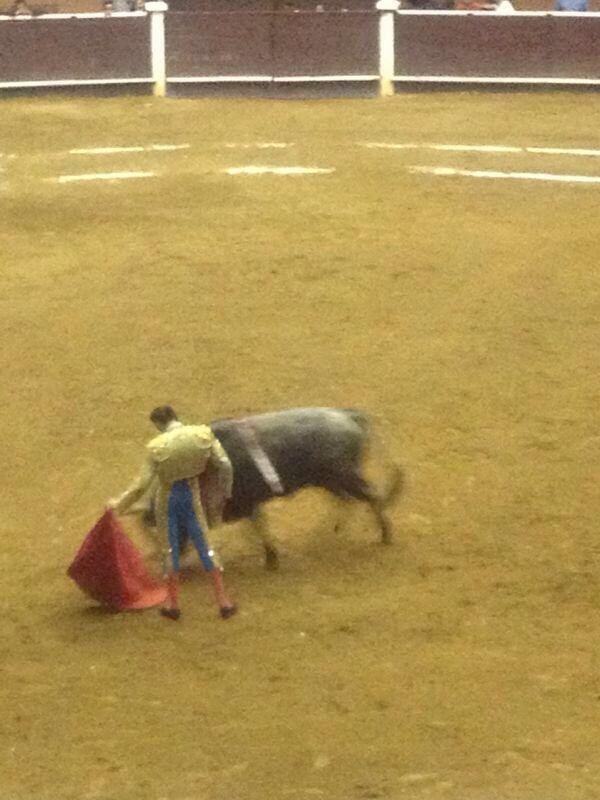 gins_br's tweet photo. "Aprendan toreros pendejos" #enriqueponce #frasesdemama #doñagina @gmrgar http://t.co/0nPu4V9yAz