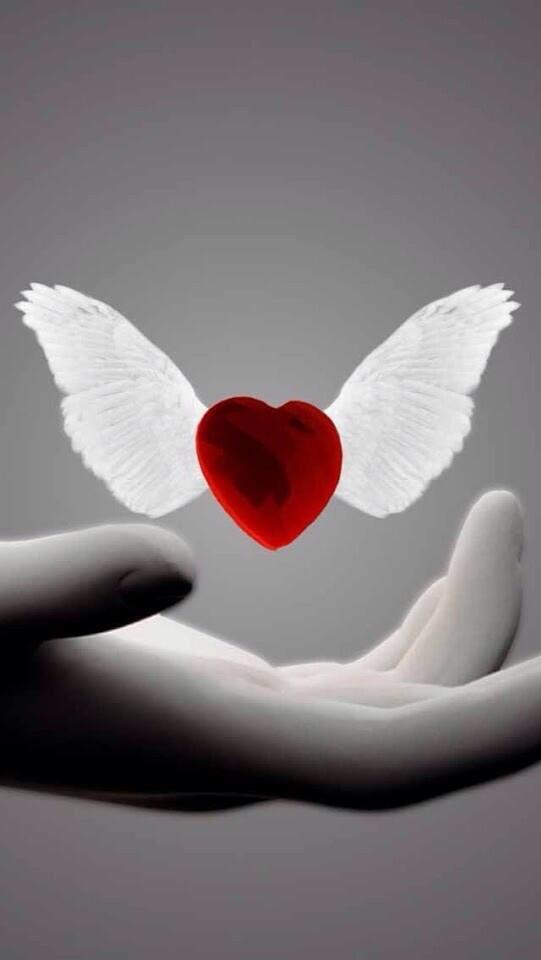 Paizvelas (💙,🧡) (@paizvelas) on Twitter photo 