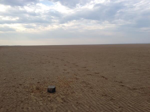 fatmand84's tweet photo. On the beach and come across a tree stump smack in the middle ?? #weird http://t.co/Ez3mz2BQzS