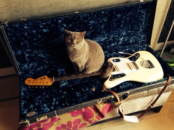 stevethoma1's tweet photo. Playing guitar gets you pussy! http://t.co/vBJ6qpv0Xc