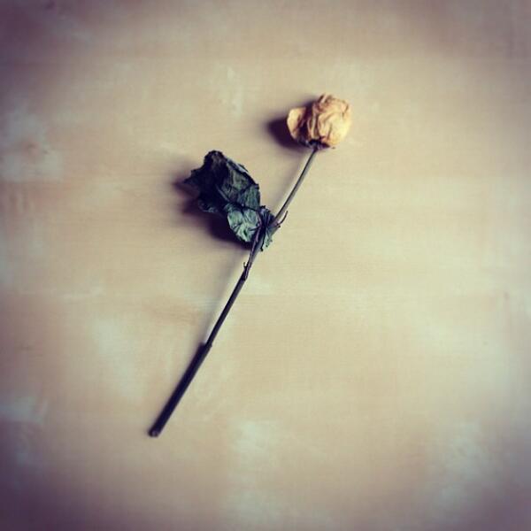 Number____2 tweet picture