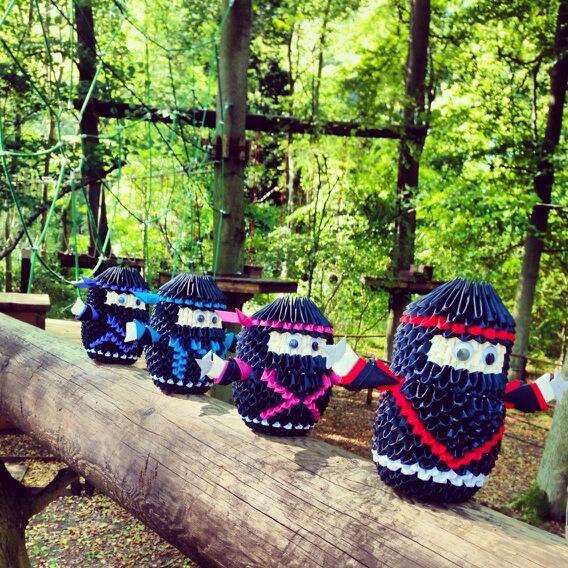 TreeNinjas's tweet photo. Nice day for a family outing at #TreeNinja http://t.co/BDIrNlHR9z