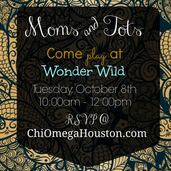 Chi Omega Houston tweet media