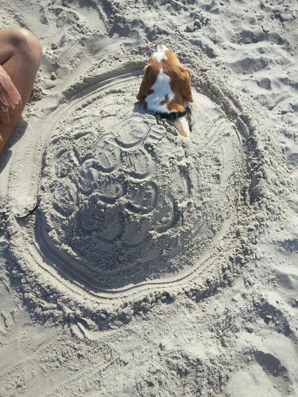 Urlaub an der Ostsee