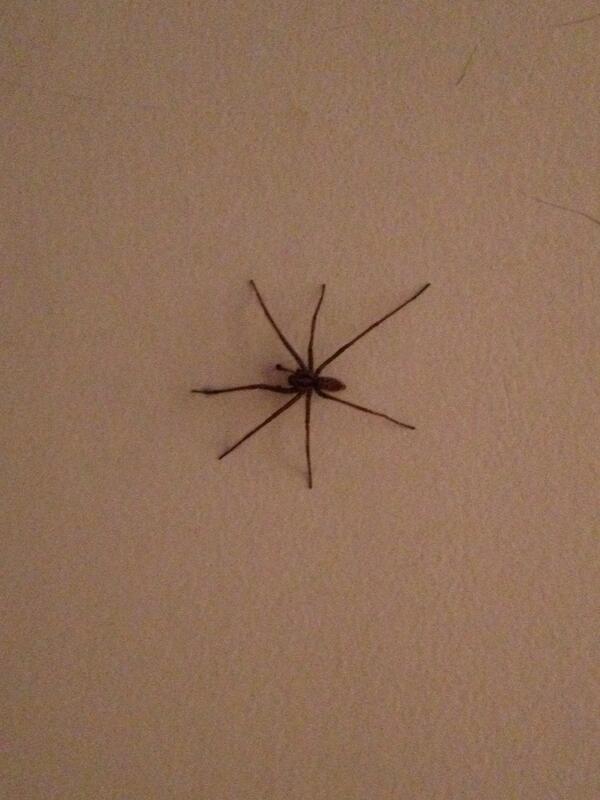 actionrjackson's tweet photo. Just dropped Jordan off at work and am now alone in the house with this on the wall! #sleeplessnight http://t.co/NrGrOoWRhj