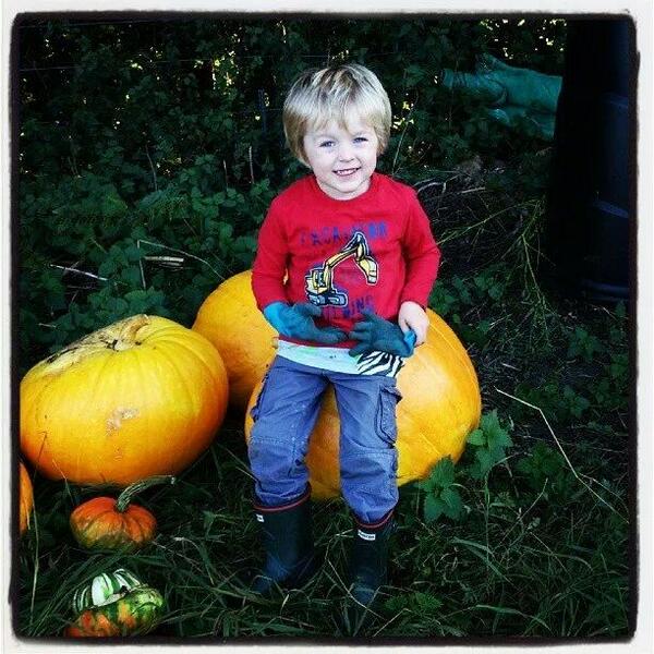 StCorb's tweet photo. The little monster and his pumpkins and squashes! http://t.co/aLQOMw6pFf