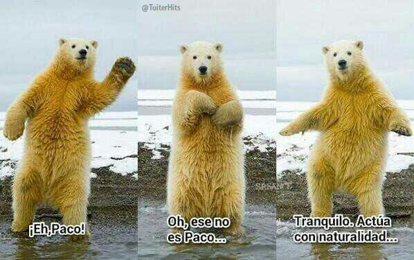 NuriaCaste's tweet photo. "@TuiterHits: YO CUANDO CONFUNDO A ALGUIEN. http://t.co/dRAkgSb0Vo" jajajajaja @nuriaquerolcaba ho haure de provar