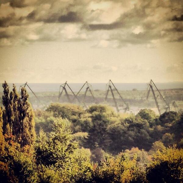 InGdansk tweet media