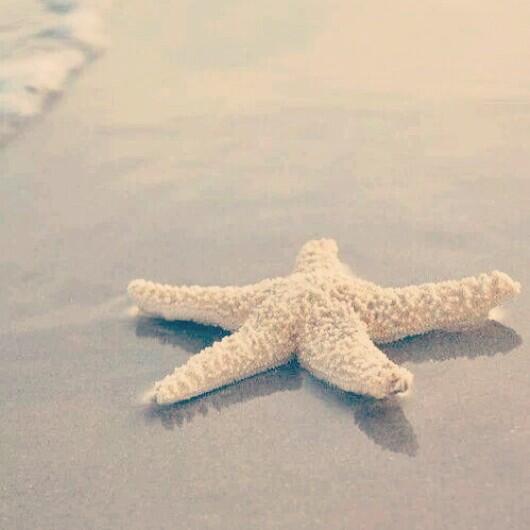 Micol IRG tweet media