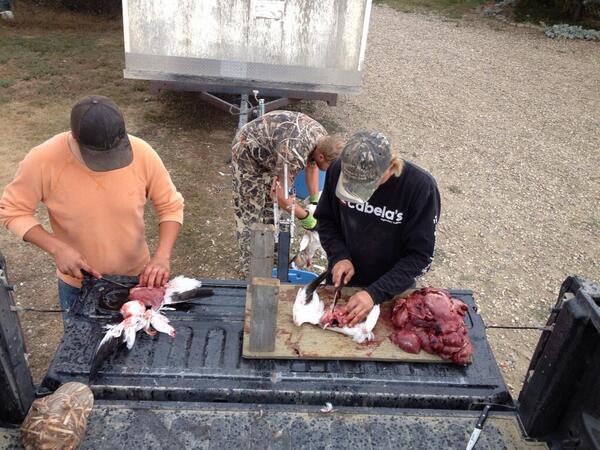 Casser11's tweet photo. @magonz442 @corycordes94 @Cortez1920 #ifitflysitdies http://t.co/hOFEMgYCkh
