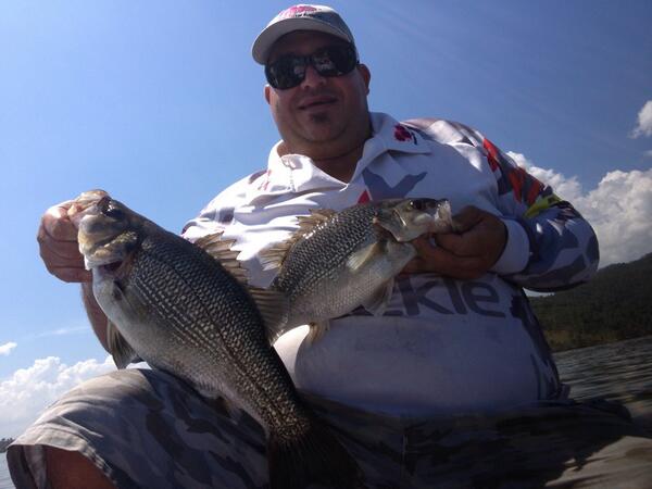 impacttackle's tweet photo. Nice Somerset bass caught on 1/2 ounce Impact Tackle jig Headz and Ecogear Eels http://t.co/Aik1Ioy1Mq