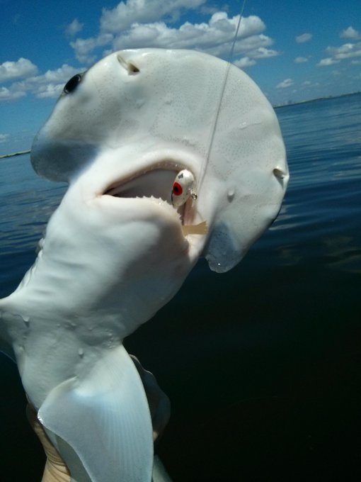 Nom nom nom... http://t.co/ylCzX8oyfl<a href="/tag/gymlife"class="tags"><span>#gymlife</span></a><a href="/tag/fitchick"class="tags"><span>#fitchick</span></a>