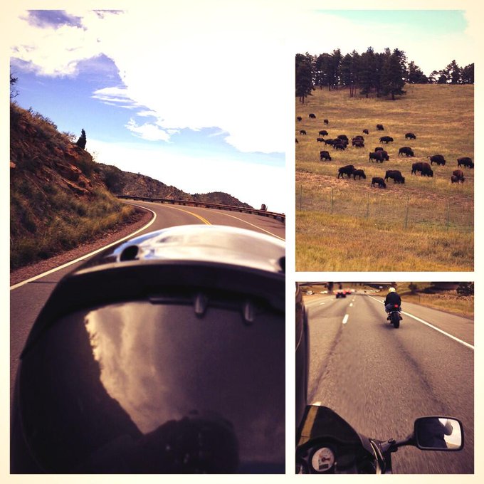 Had an amazing day cruising over Lookout Mountain with one of my besties ?
#Colorado #Nature #Beautiful