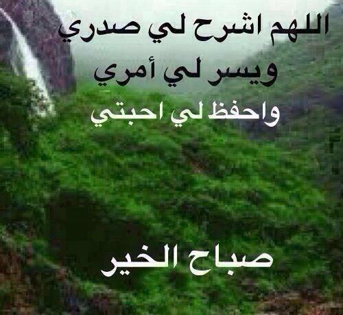 mostfa52 tweet picture
