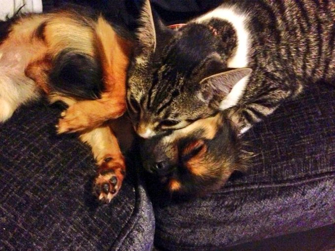 My family ❤️ http://t.co/Od3fZkLZj5<a href="/tag/conspiracy"class="tags"><span>#conspiracy</span></a>