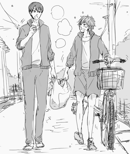 HQ小説版のおつかいの王様、日向の「おれが片方もったんだ」っての、こういうことだと思ってたんですけどもしかして:違う 