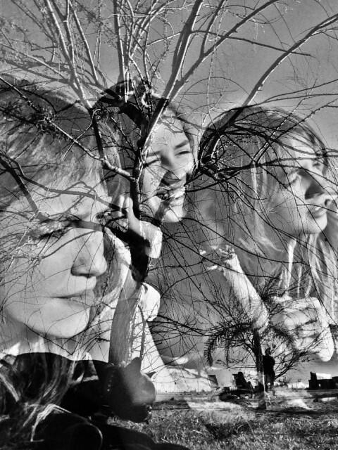 Link permanente da imagem incorporada